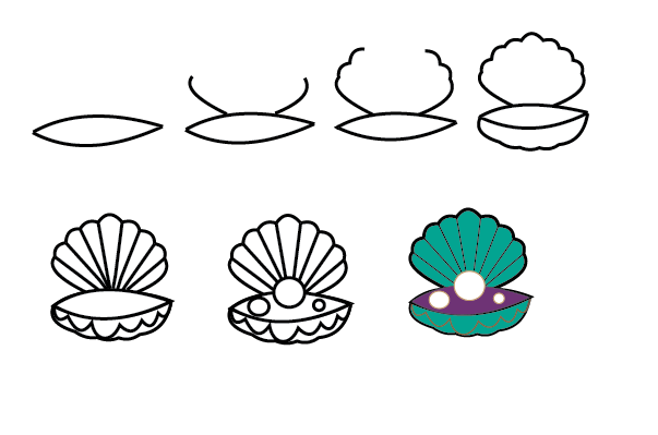 how to draw a seashell step by step