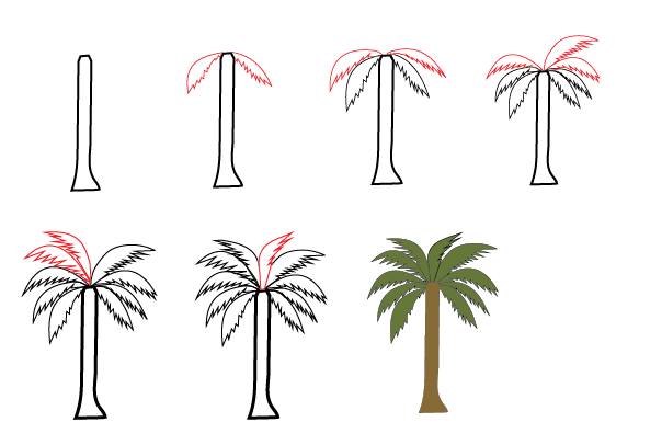 how to draw a palm tree step by step