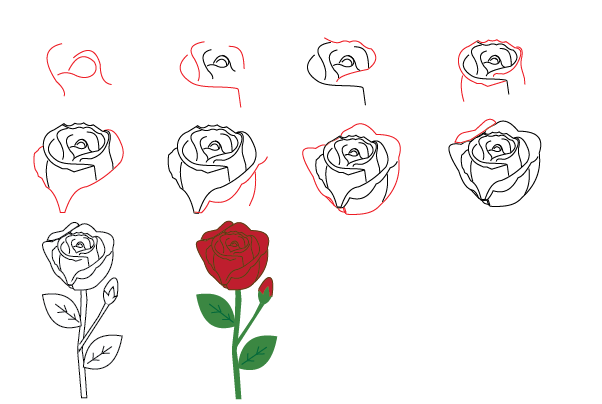 how to draw a rose step by step