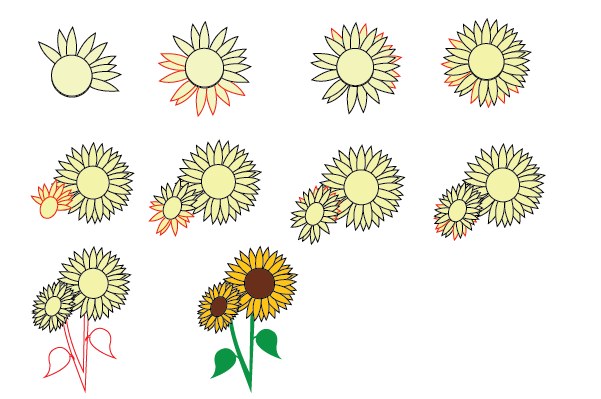 how to draw a sunflower step by step