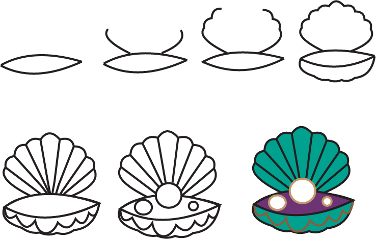 how to draw a seashell step by step