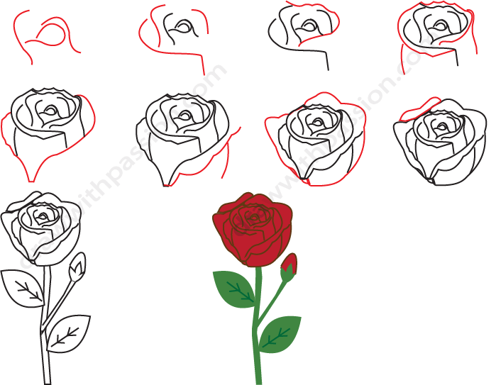 How to draw a rose step by step