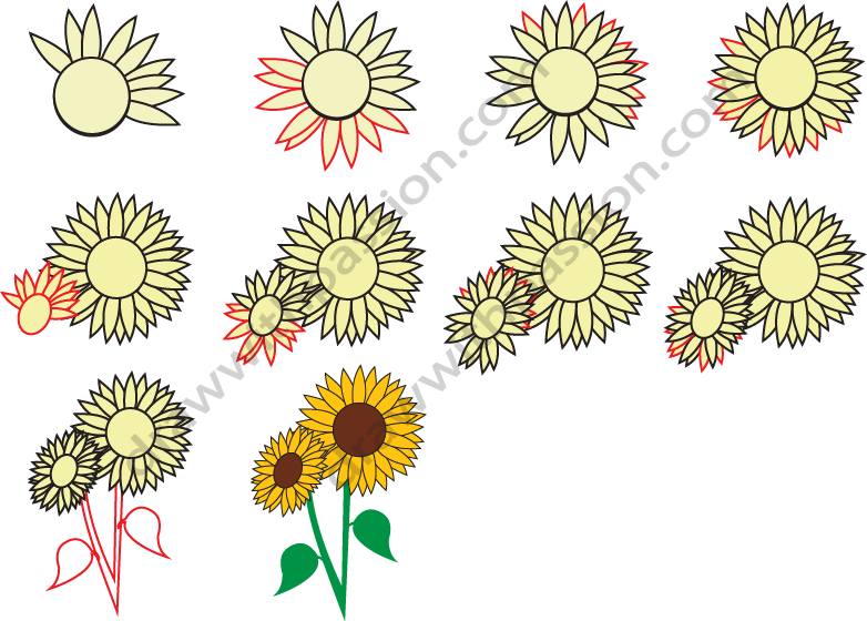 How to draw a sunflower step by step