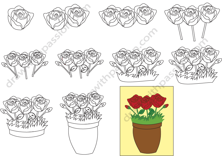 How to draw a rose bush step by step