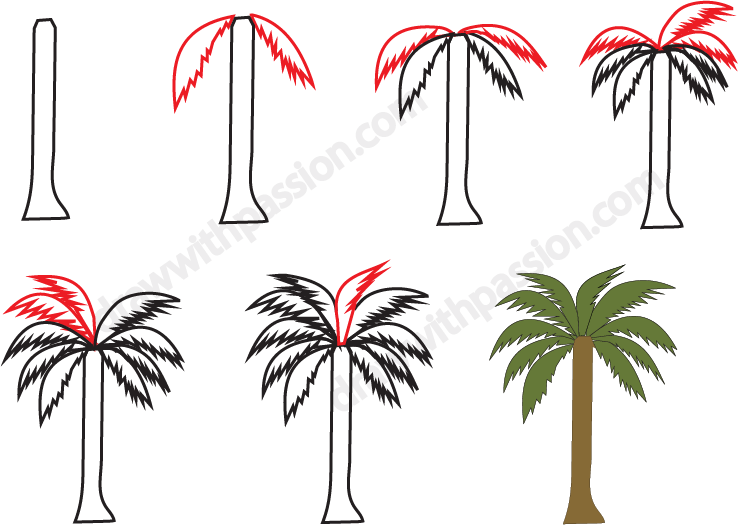 how to draw a palm tree step by step