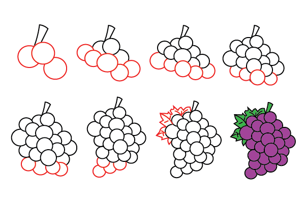 how to draw grapes step by step