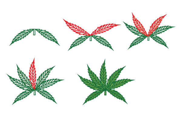 how to draw a pot leaf step by step