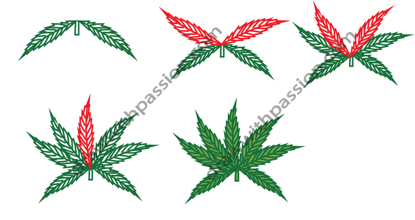 How to draw a pot leaf step by step