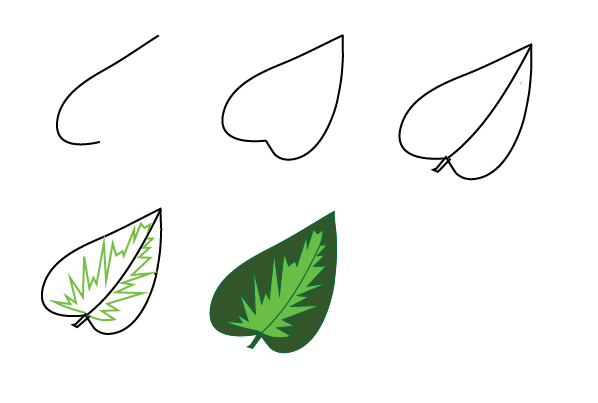 how to draw a leaf step by step