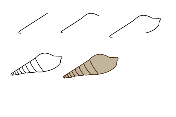 how to draw a screw shell step by step