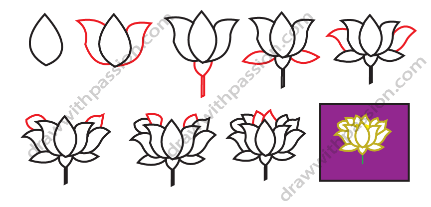 How to draw a lotus flower step by step