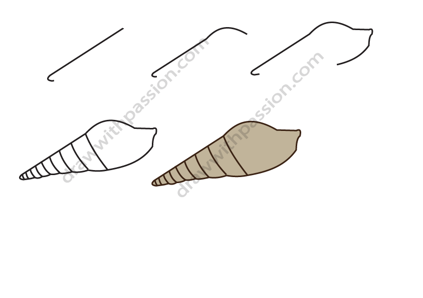 How to draw a screw shell step by step