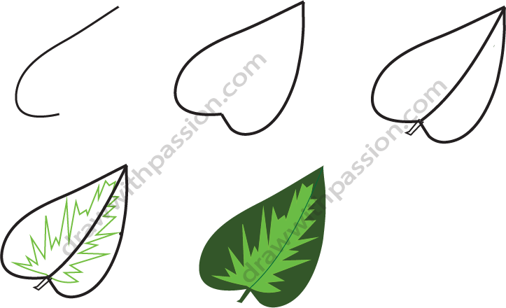 How to draw a leaf step by step