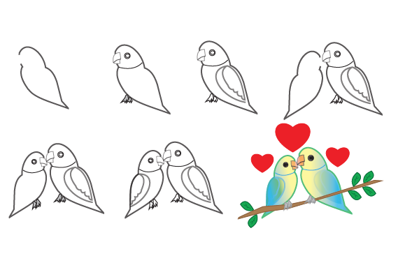 how to draw lovebirds step by step