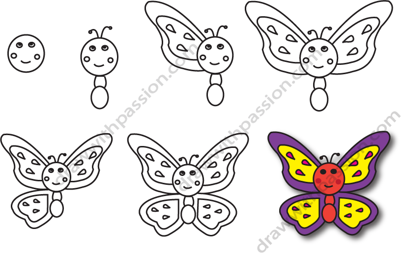 How to draw a butterfly step by step