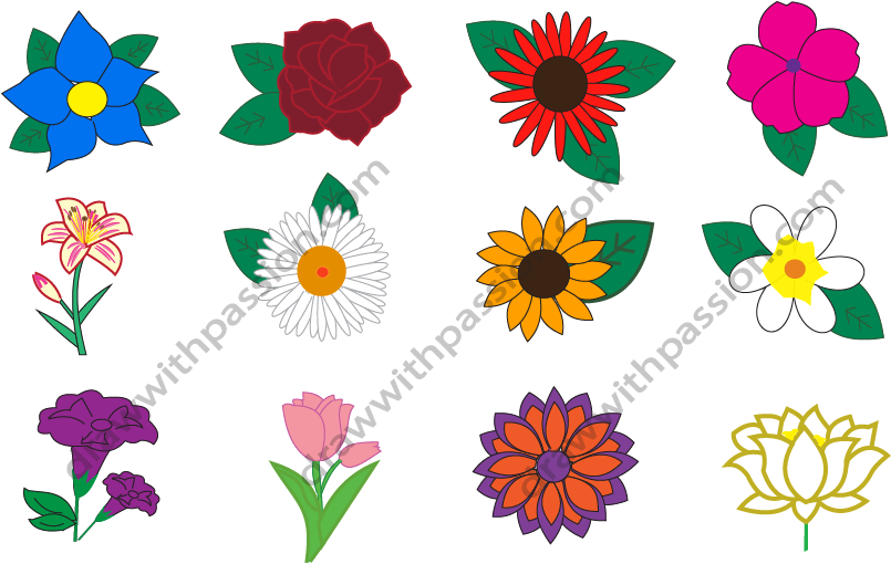 Different flowers drawing